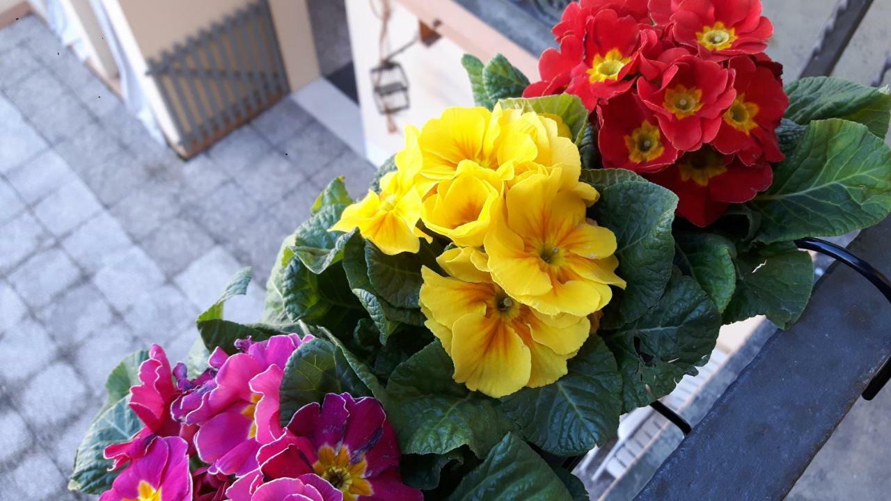 At Home In เกรโมนา ภายนอก รูปภาพ